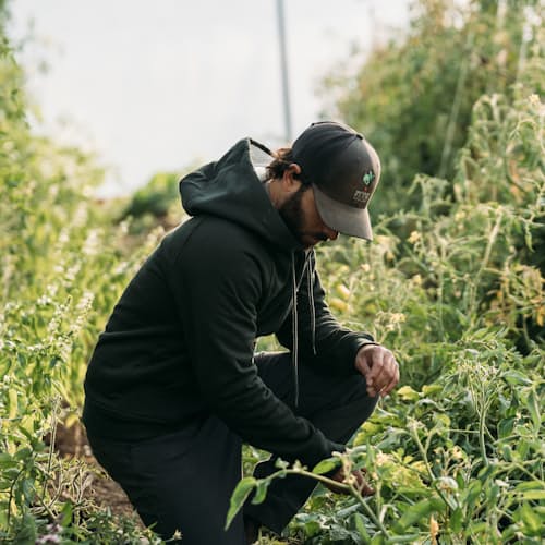 lifestyle image of 10-Year Waffle-Lined Hoodie