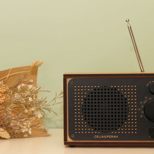 laydown image of DIY Bluetooth Classic Radio