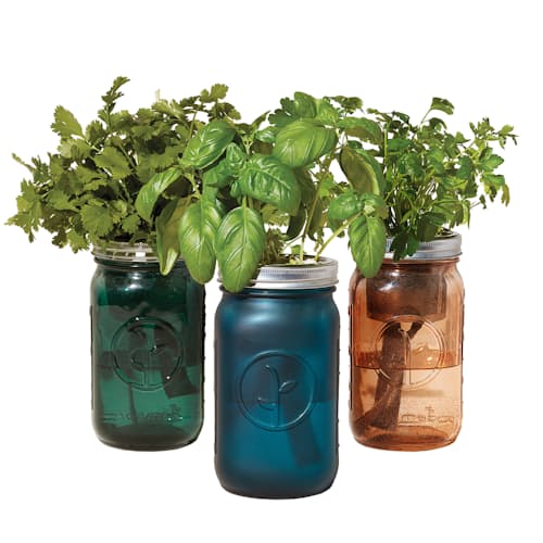 laydown image of Organic Herb Garden Jar Set