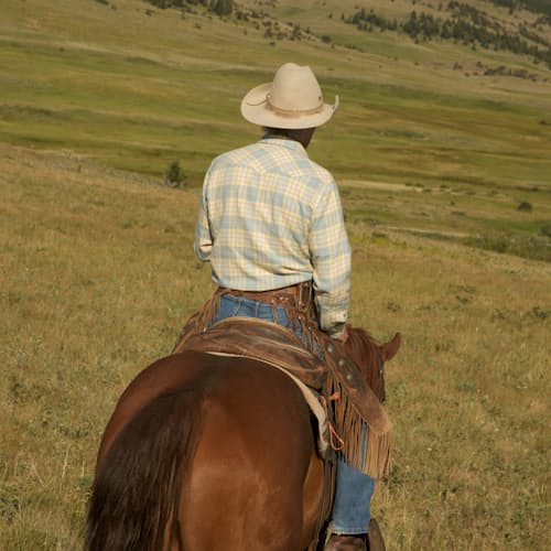 laydown image of Washed Pearl Snap Flannel Shirt