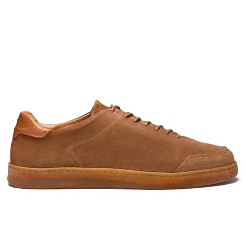 laydown image of Suede Terra Low Sneaker