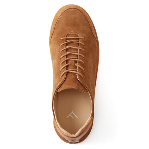 laydown image of Terra Low Sneaker
