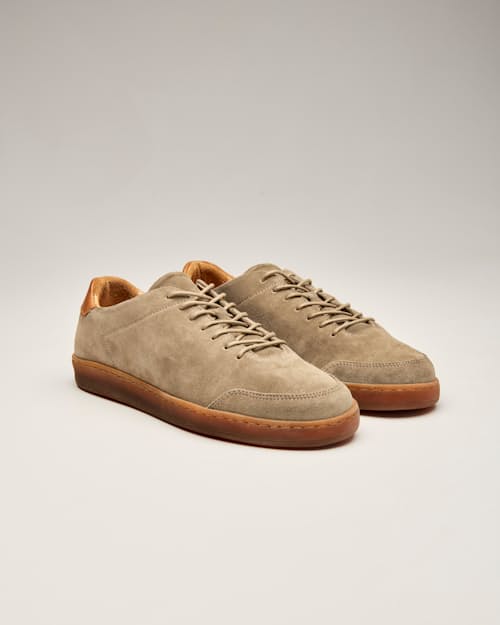 laydown detail image of Suede Terra Low Sneaker