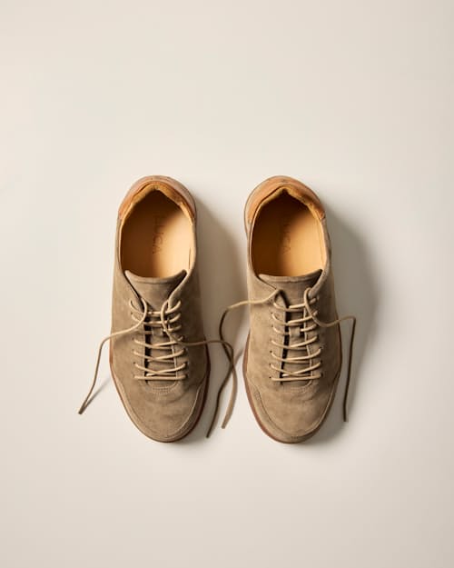 laydown detail image of Suede Terra Low Sneaker