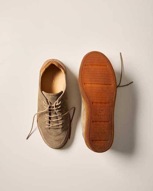 laydown detail image of Suede Terra Low Sneaker