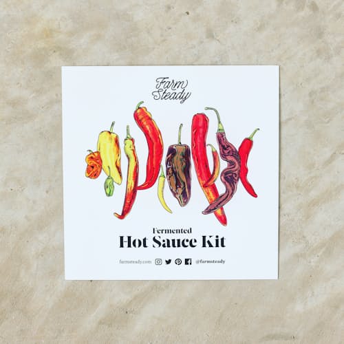 laydown image of Fermented Hot Sauce Making Kit