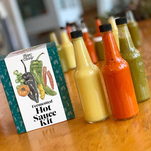 laydown image of Fermented Hot Sauce Making Kit