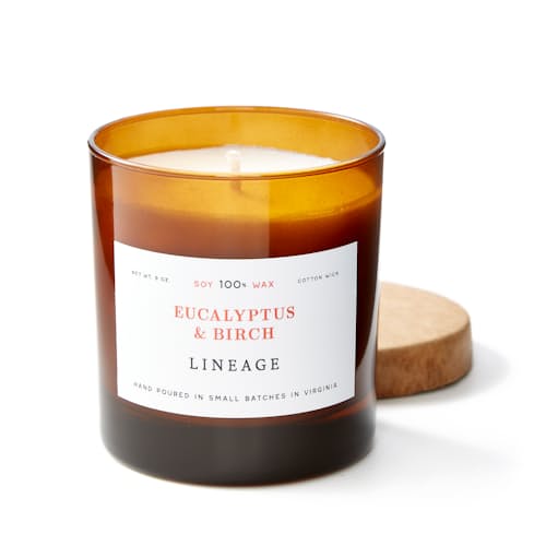 laydown image of Eucalyptus & Birch Candle