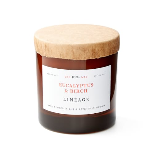 laydown image of Eucalyptus & Birch Candle