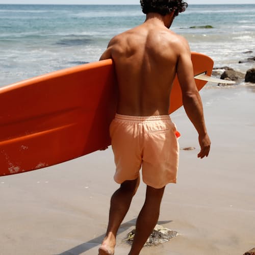 laydown image of Recycled Swim Trunks