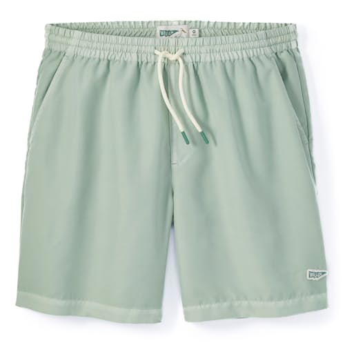laydown image of Recycled Swim Trunks
