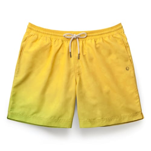 laydown image of Sternbergia Swim Trunk - 6.3"