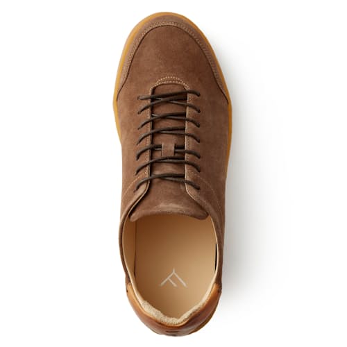 laydown image of Terra Low Sneaker