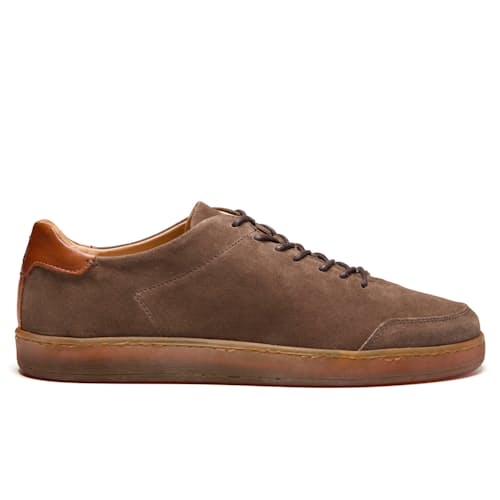 laydown image of Suede Terra Low Sneaker
