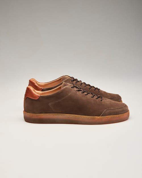 laydown detail image of Suede Terra Low Sneaker