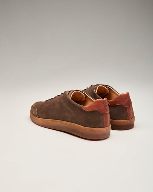 laydown detail image of Suede Terra Low Sneaker
