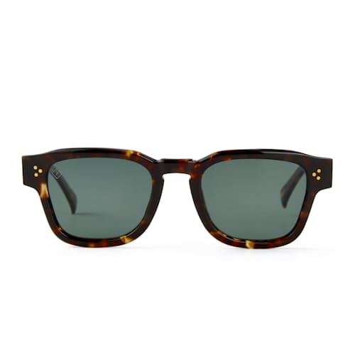 laydown image of Rece Sunglasses