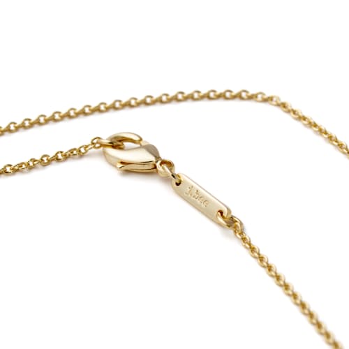 laydown detail image of Women's Charm Necklace with Diamond