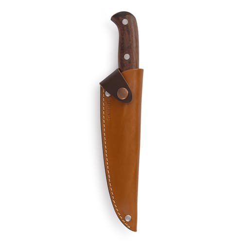 laydown image of Adventure Paring Knife