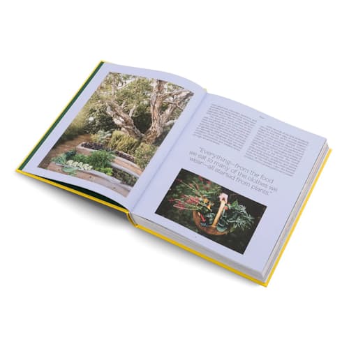 laydown image of The Gardens of Eden - Coffee Table Book