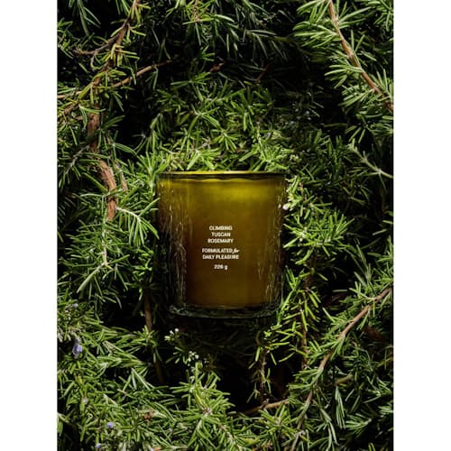 laydown image of Climbing Tuscan Rosemary Candle