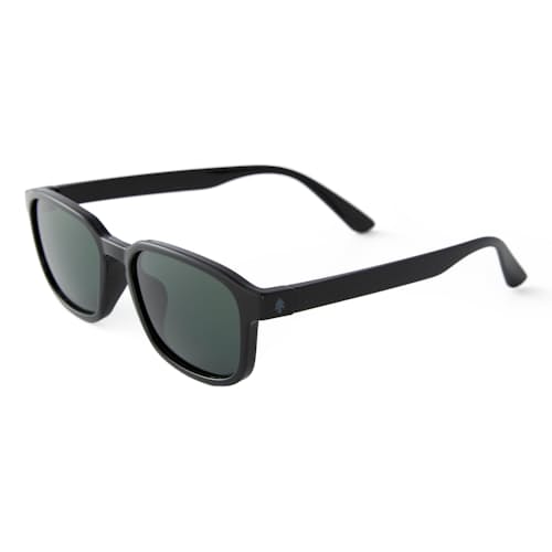 laydown image of Sunseekers Sunglasses