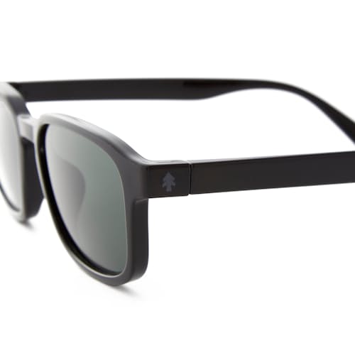 laydown image of Sunseekers Sunglasses