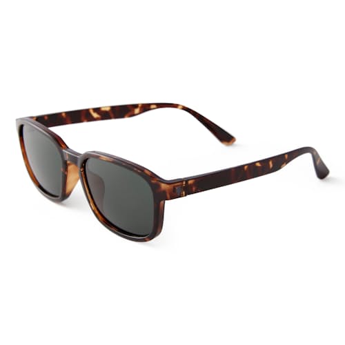 laydown image of Sunseekers Sunglasses