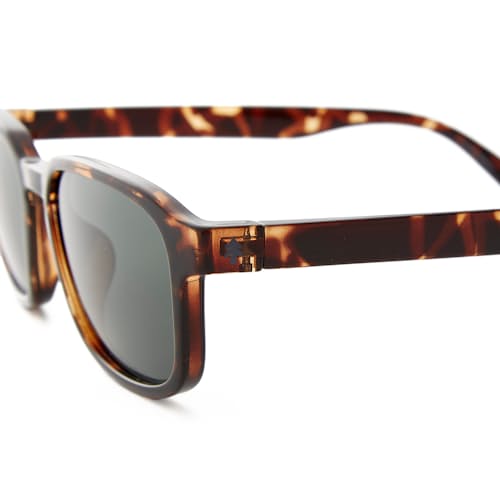 laydown image of Sunseekers Sunglasses