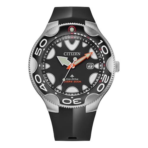 laydown image of Promaster Dive Watch