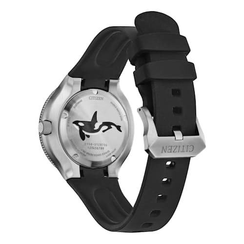 laydown image of Promaster Dive Watch