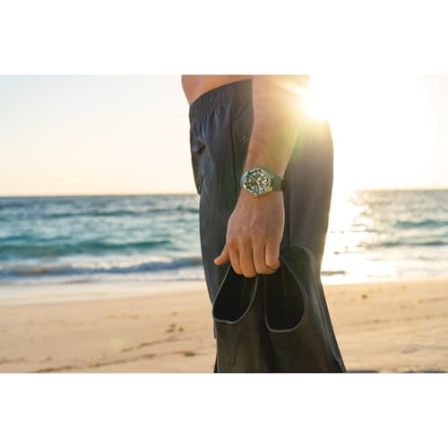 laydown image of Promaster Dive Watch