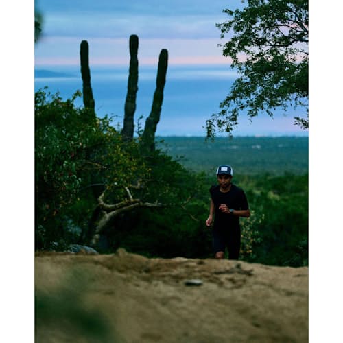 laydown image of Trkcap Sc Hat