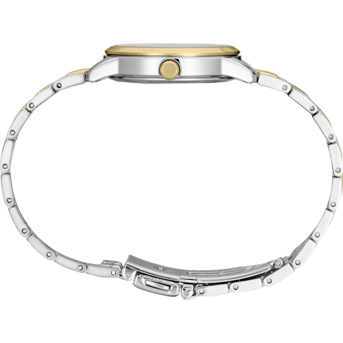 laydown image of Women's Two-Tone Essentials Watch
