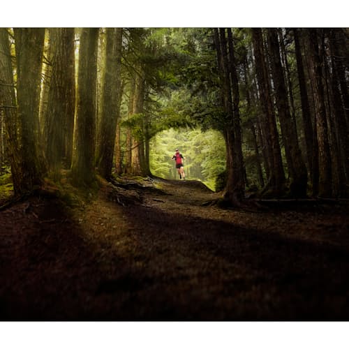 laydown image of InReach Mini 2