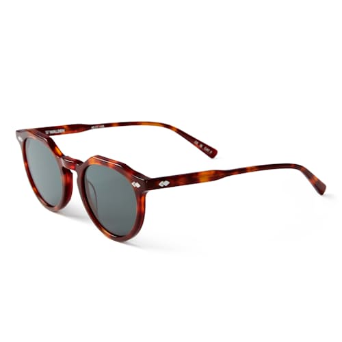 laydown image of Forest Sunglasses