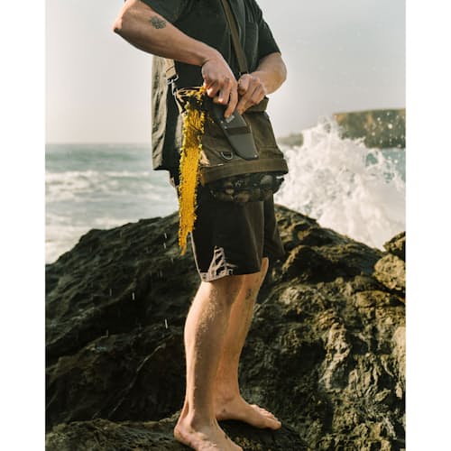 laydown image of Foraging Bag