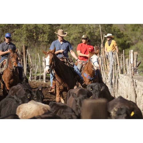 lifestyle image of Whippersnapper Camp Collar Short Sleeve Shirt