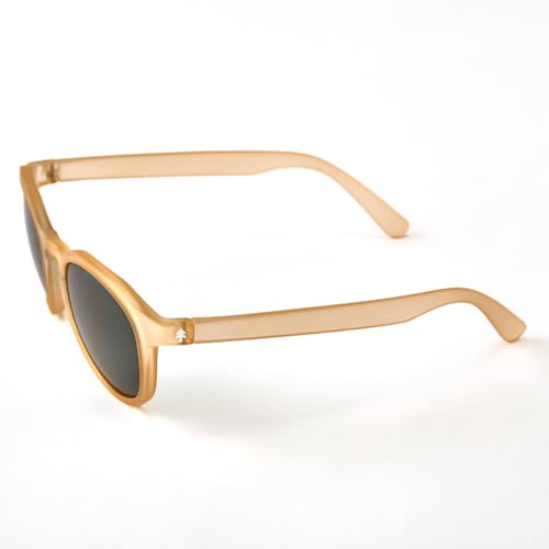 laydown detail image of Cruisers Sunglasses