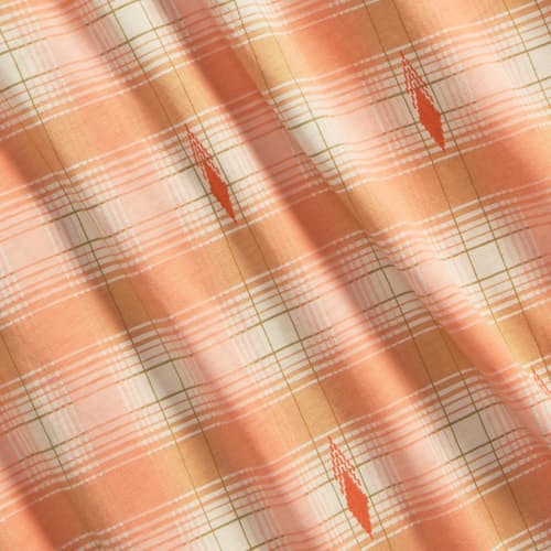 lifestyle image of Plaid Western Shirt