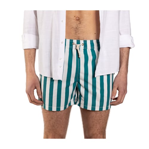 on model image of Paraggi Striped Swim Shorts - 5"