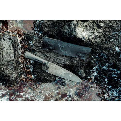 laydown image of The Anzick
