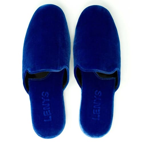 laydown image of Velvet Slipper