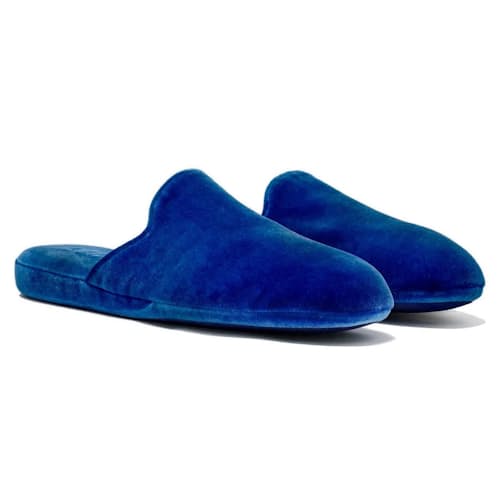 laydown image of Velvet Slipper