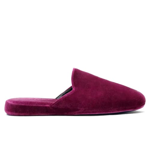 laydown image of Velvet Slipper