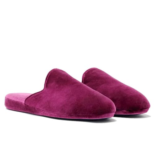 laydown image of Velvet Slipper