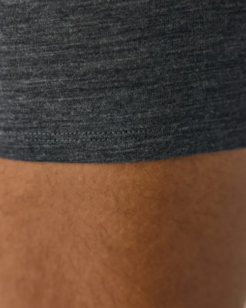 on model image of 72-Hour Merino Boxer Briefs - 5"