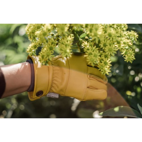 laydown image of Kunar Work Glove