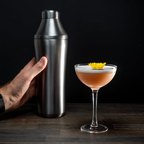 lifestyle image of The Elevated Cocktail Shaker