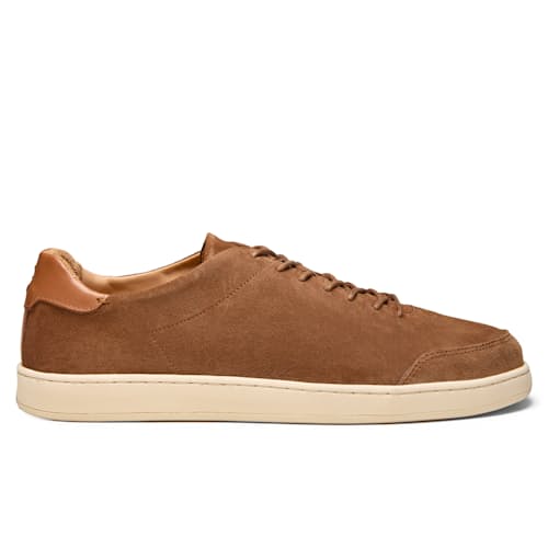 laydown image of Suede Terra Low Sneaker